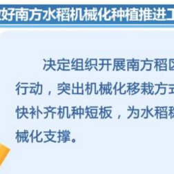 南方稻区水稻机种推进行动启动 为水稻稳产增产提供机械化支撑