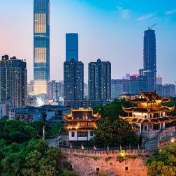 湖南日报评论员|坚决按照党中央部署从严从紧抓好疫情防控