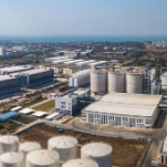 （上海战疫录）“沪”动进行时：一天落地9个外资项目 临港新片区别具“引力”