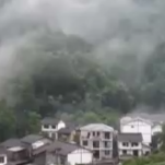 走进老区看新貌丨中药材产业化发展助力重庆城口乡村振兴