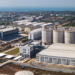 让机器转起来、产线跑起来——上海汽车业复工复产满月观察