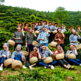 促进茶旅融合 助力乡村振兴 临湘白石茶业做足“茶文章”