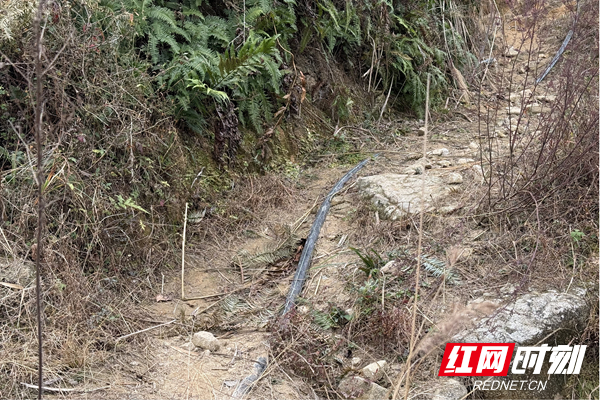 村民埋的水管.jpg 村民埋的水管.jpg