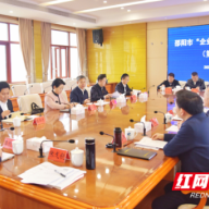 严华出席“企业家接待日”邵东专场活动