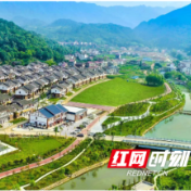 刘蓓：忠诚履职显担当 景美岸绿绘新篇