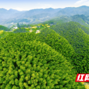 城步：以招商引资推动特色产业高质量发展
