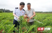 武冈税务：全流程服务助力大学生创业主体茁壮成长