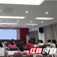 绥宁税务:“税课”送春风 三税政策精准辅导助企合规经营
