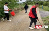 邵阳县诸甲亭乡：党建引领聚合力，人居环境焕新颜