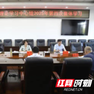 邵阳市政府党组理论学习中心组举行 2025年第四次集体学习