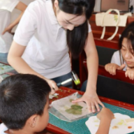 新宁：非遗进乡村 锤草凝香里的童心传承