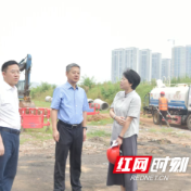 严华专题调研重大项目建设情况