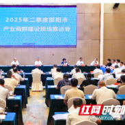 邵阳市召开二季度产业链群建设现场推进会