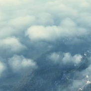 视频｜双清莲荷：雾笼翠林 水墨丹青