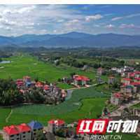 城步:夯实基础 做强产业 乡村振兴成色足底色亮