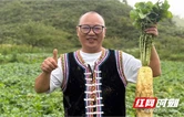 新农人杨盛春：让城步高山蔬菜香飘全国