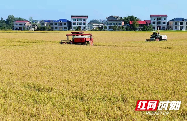 微信图片_20260216125217_422_116.jpg 微信图片_20260216125217_422_116.jpg