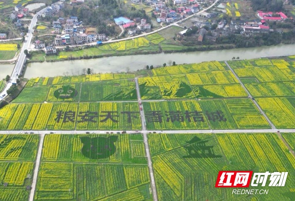 微信图片_20260314125423_1119_73.jpg 微信图片_20260314125423_1119_73.jpg