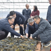 严华在市农科院科创园调研农业科技创新及产业融合发展工作