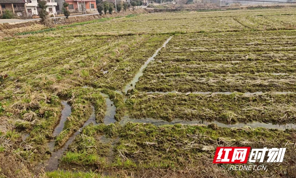 微信图片_20260318154457_455_116.jpg 微信图片_20260318154457_455_116.jpg