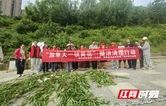 新邵县酿溪镇联合多部门开展“加拿大一枝黄花”专项清理行动