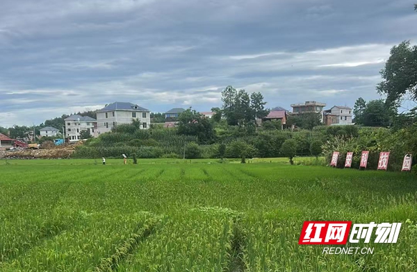 微信图片_20260705215126_93_943.jpg 微信图片_20260705215126_93_943.jpg