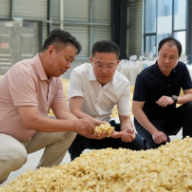 龚红果到隆回县调研经济社会发展情况