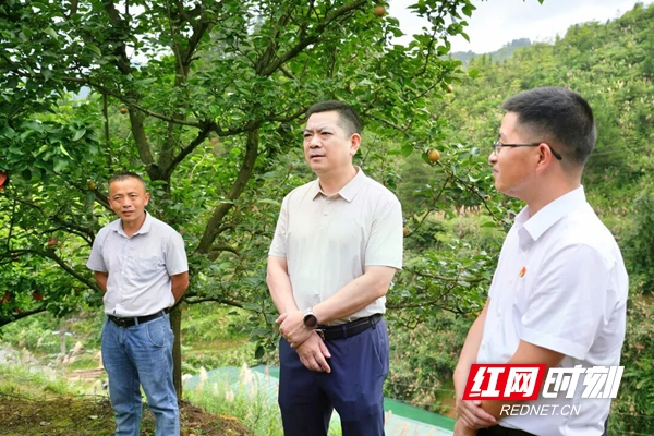微信图片_2026-09-08_114844_486.jpg 微信图片_2026-09-08_114844_486.jpg