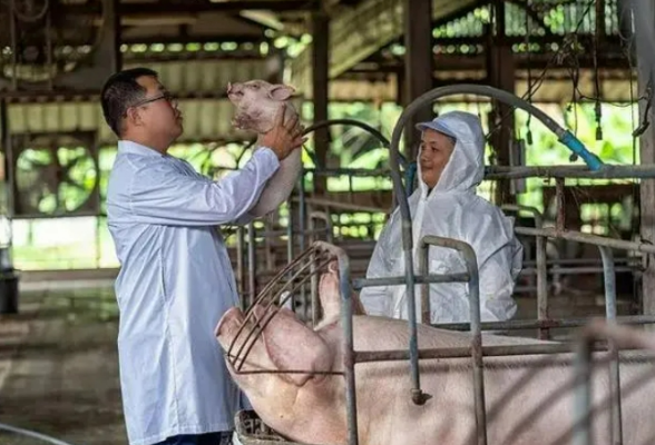 湖南开展《湖南省实施〈中华人民共和国动物防疫法〉办法》宣贯培训