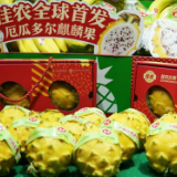 进博故事丨从展品“蝶变”看进博“魔力”