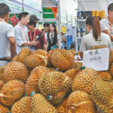 做互利共赢的好伙伴——中越经贸合作造福两国人民