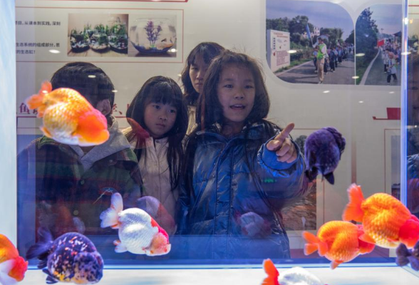 长沙举办首届宠物及水族产业博览会