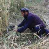 关塔那摩监狱前囚犯揭美军虐囚：放狗咬 剥夺睡眠