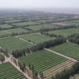 沿着河湖看新疆丨在“火”与“水”中，探寻吐鲁番发展的密码