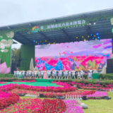 红网观察丨湖南花木博览会，看“花经济”一路生花