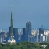 焦点访谈:大国有“数” 回升向好 砥砺前行