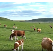 焦点访谈丨牢牢把握住农业“中国芯” 看今日好“丰”景