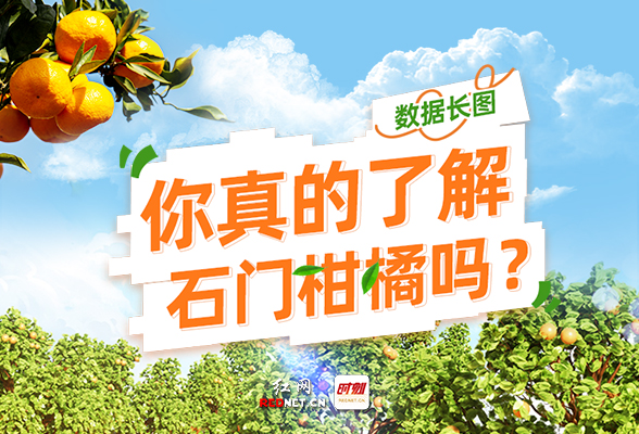 数据长图丨你真的了解石门柑橘吗？
