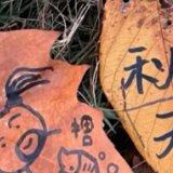 凡人微光｜秋日馈赠