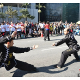 东西问·汉学家丨巴西汉学家霍心武:武术文化交流何以弥合中巴理解差异?