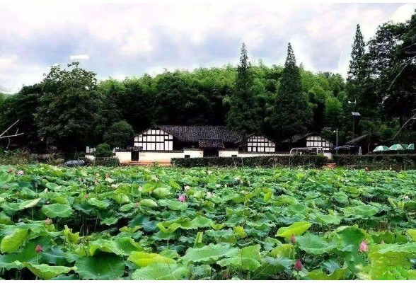 人民日报看湖南丨文化赋能清溪村