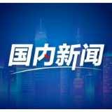 新时代中国调研行之看区域·大湾区篇丨融数向绿——从多维电力数据看粤港澳大湾区经济发展趋势