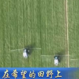 【在希望的田野上】抢抓农时 各地做好春耕春管