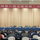 奋力推进残疾人友好型省份建设  省残联第八届主席团第二次会议在长沙召开