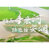和谐共生丨情系母亲河 绿色绘安澜