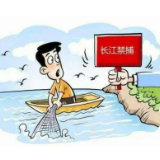 我国将从三方面提升长江禁渔执法监管效能
