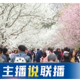 主播说联播丨“花”，火！