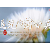 视频丨追光的蒲公英——致敬每一位坚守岗位的电力人