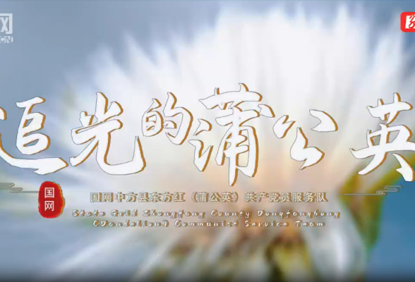 视频丨追光的蒲公英——致敬每一位坚守岗位的电力人