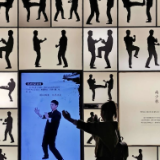 东西问丨林建华：两岸何以武术渊源深？